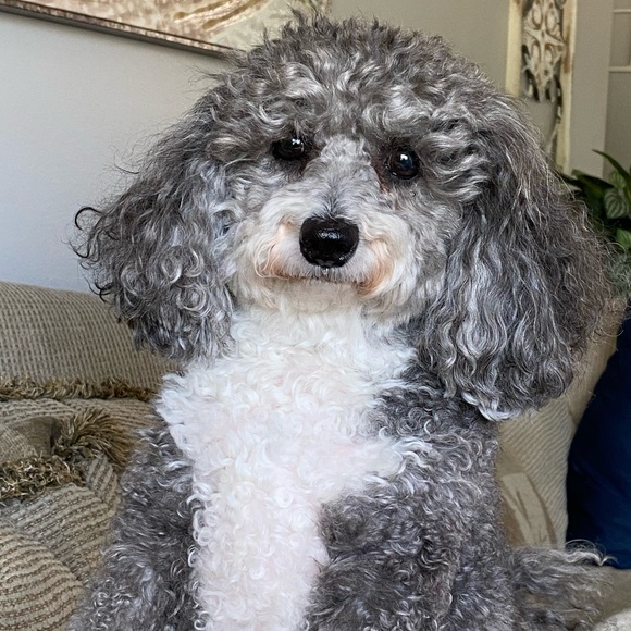 🎀 Carrie is live 🎀 - Picture 3 of 5